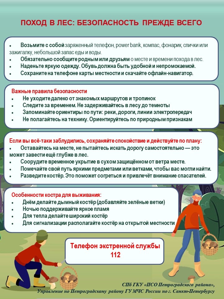 Грибной сезон