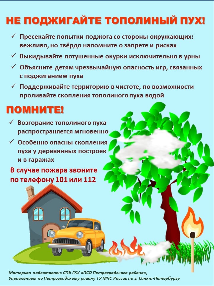 Не поджигайте тополиный пух
