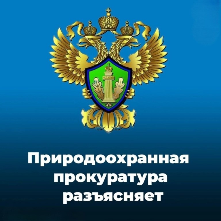 Природоохранная прокуратура разъясняет
